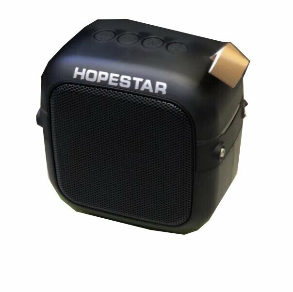 Bluetooth portable subwoofer (black)