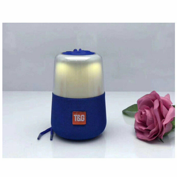 Bluetooth portable subwoofer (blue)