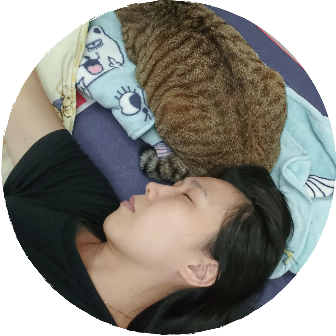 撐腰樂眠床 - Emma愛貓都喜歡的床墊 - LoveFu評價