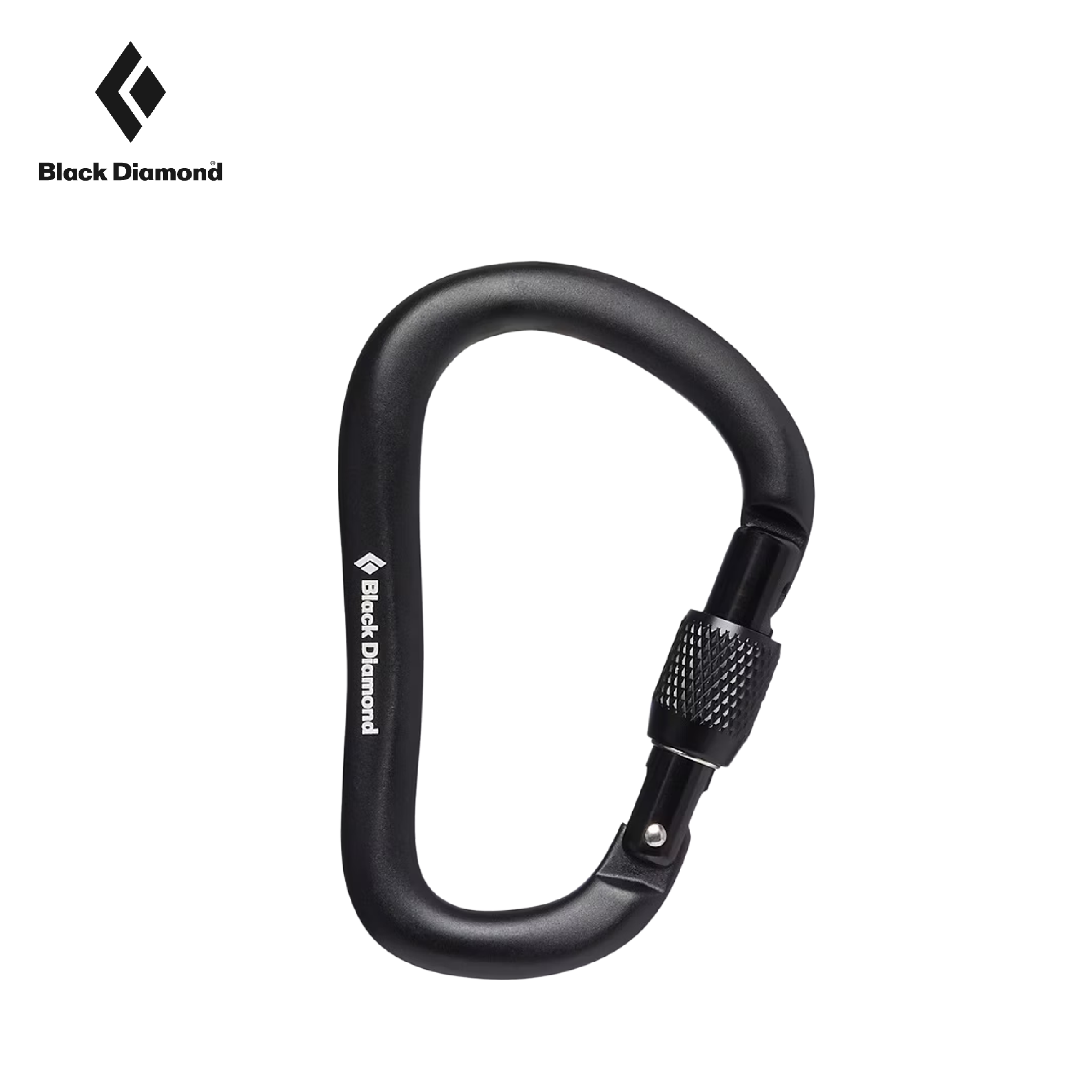 Black Diamond 美國 ROCKLOCK SCREWGATE 帶鎖鉤環  安全鉤環/鑰匙圈/攀岩/露營 79BD210256