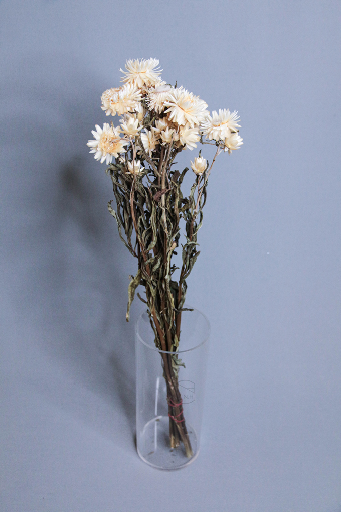 乾燥花 荷蘭麥桿菊 白 小包