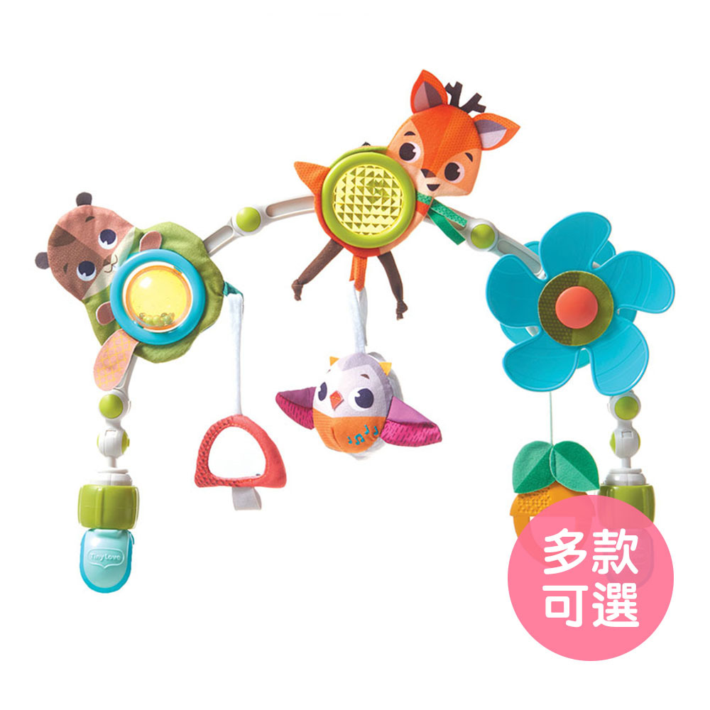 【美國Tiny Love】嬰幼兒多功能拱橋