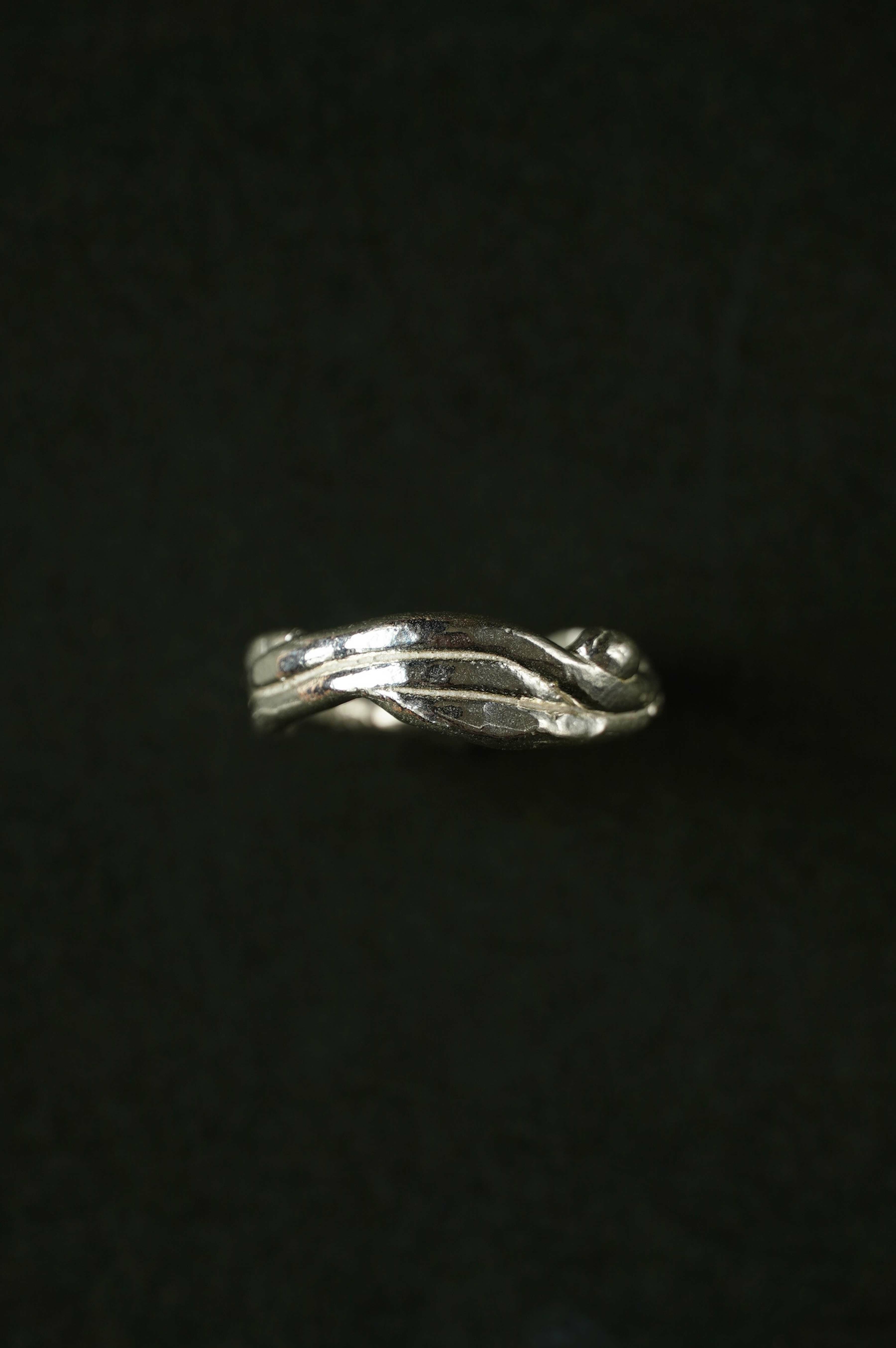 Rosemary 野草太陽