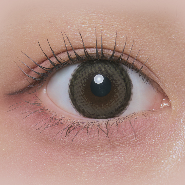 [日拋] Treatee 1 Day Sesame Pudding 有色彩妝隱形眼鏡｜每盒10片