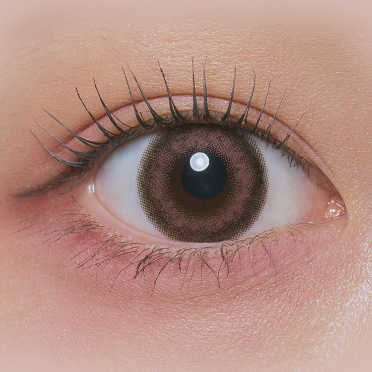 [日拋] Treatee 1 Day Bridge 有色彩妝隱形眼鏡｜每盒10片