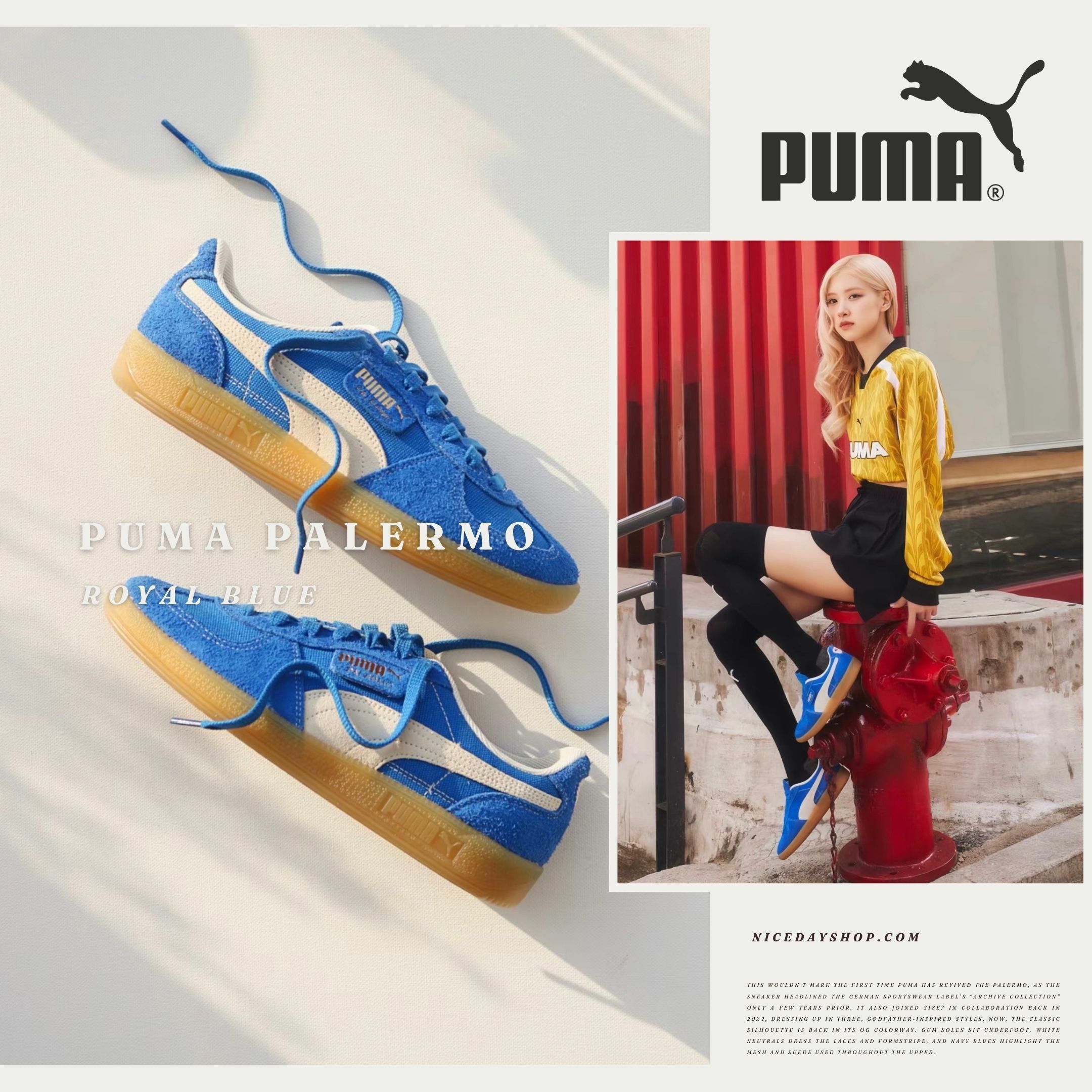 NICEDAY 現貨 PUMA ROSE 代言款 Palermo Vintage 皇家藍 藍色 女款 396841-01
