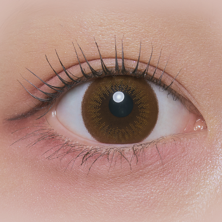 [日拋] Treatee 1 Day Meat and potatoes 有色彩妝隱形眼鏡｜每盒10片