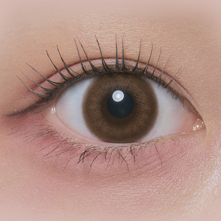 [日拋] Treatee 1 Day Raw Chocolate 有色彩妝隱形眼鏡｜每盒10片