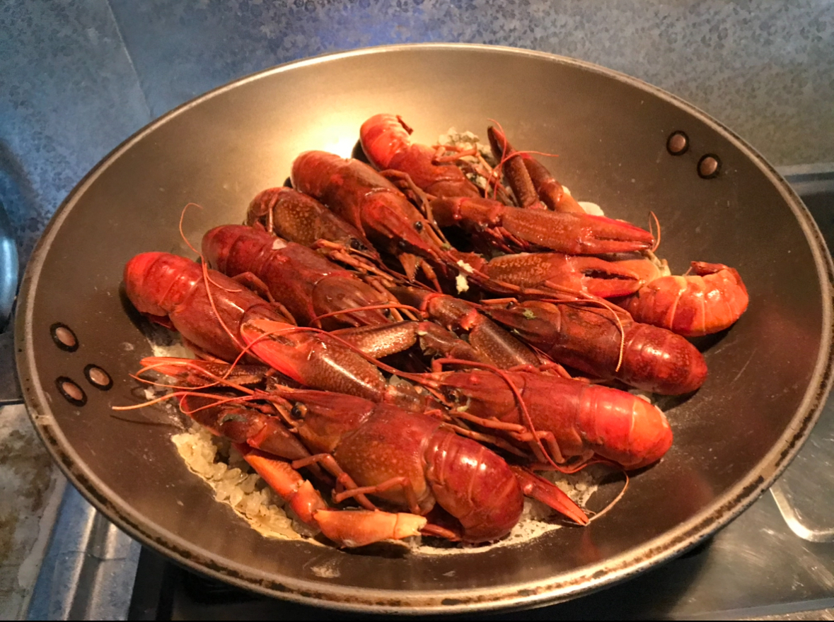 活！澳洲淡水龍蝦1斤(8-12隻)