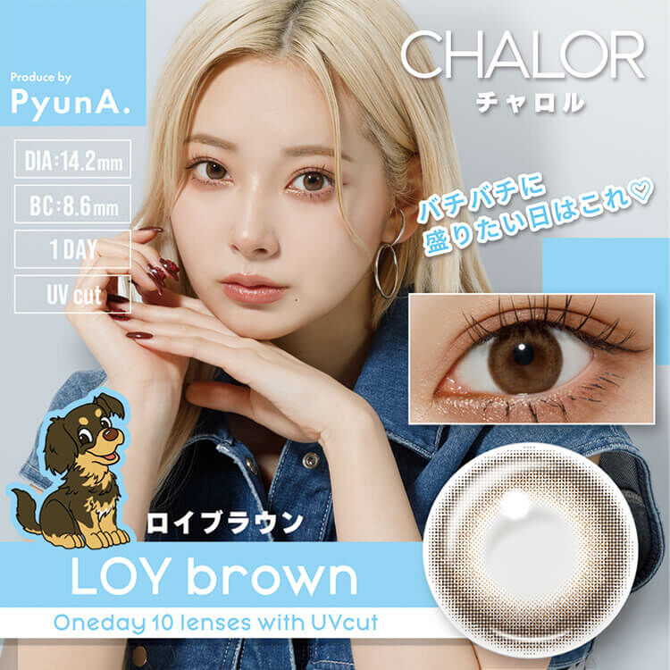 [日拋] CHALOR 1 Day LOY brown 有色彩妝隱形眼鏡｜每盒10片