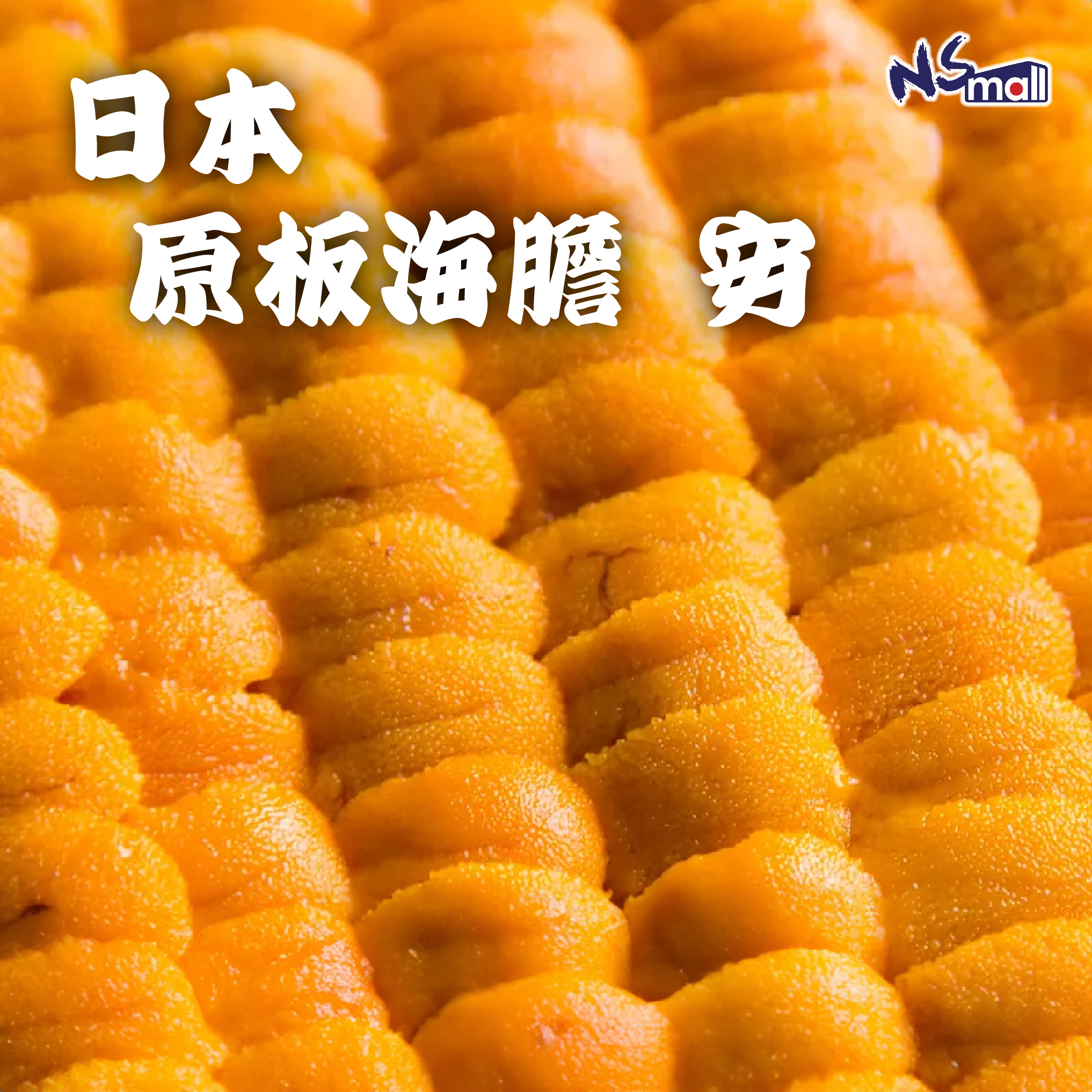 日本海膽(直排) 約250g/板 (馬糞海膽/赤海膽/紫海膽，視乎季節隨機出貨)