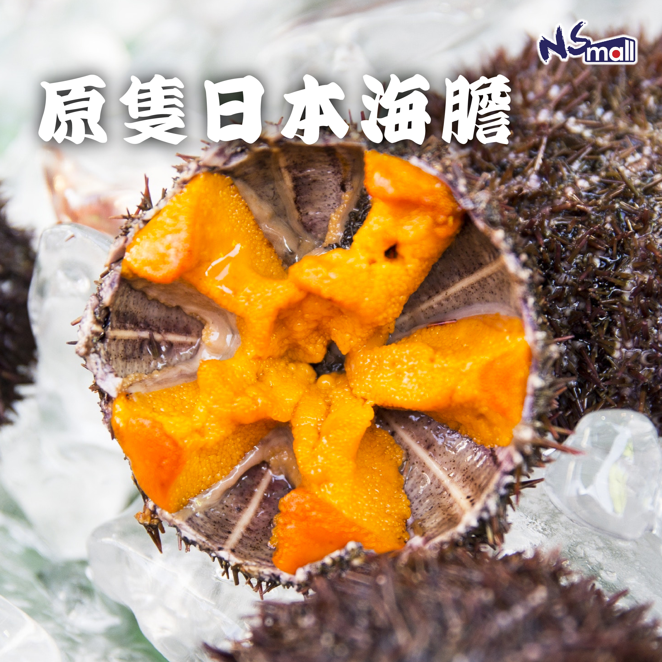 【每天貨量有限】原隻日本海膽 約80-100g/隻