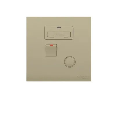 施耐德 AvatarOn C 13A 單位保險菲士蘇連開關掣及指示燈