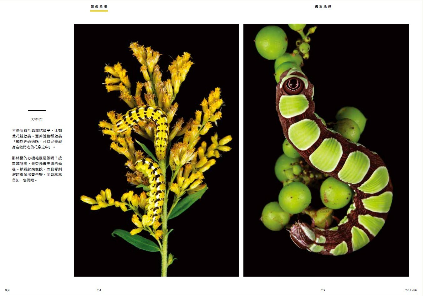 《國家地理》雜誌274期2024年9月號：深海探索新紀元