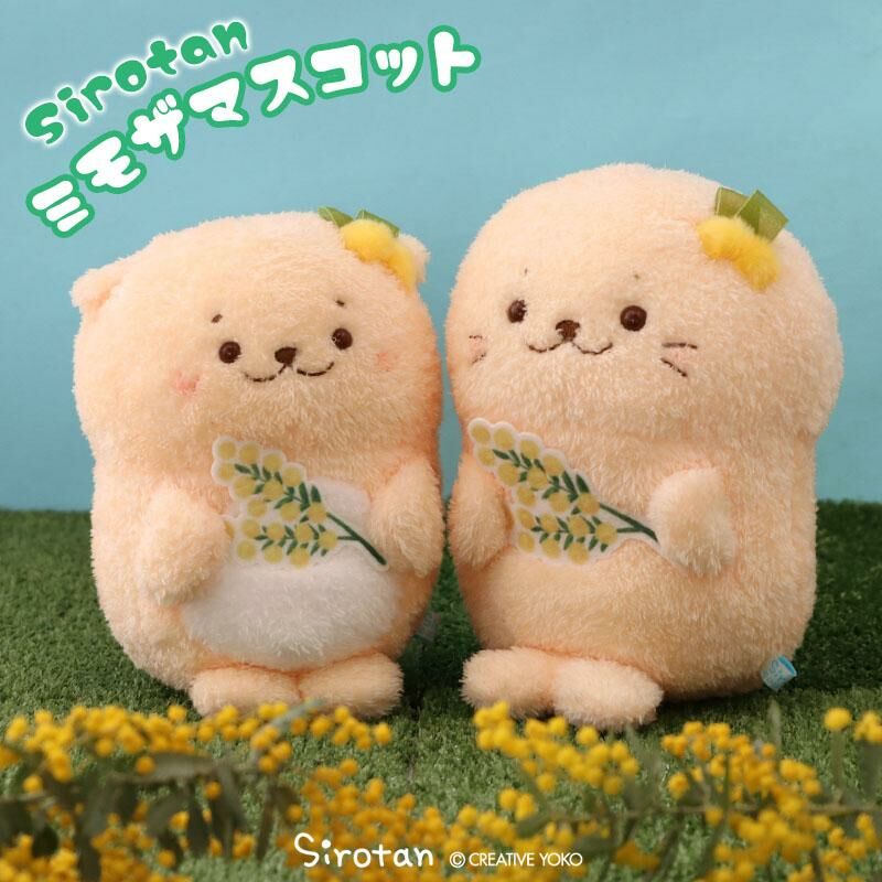 Sirotan 絨毛娃娃 黃花含羞草 絨毛娃娃  小白19cm / Rakkoinu 17.5cm