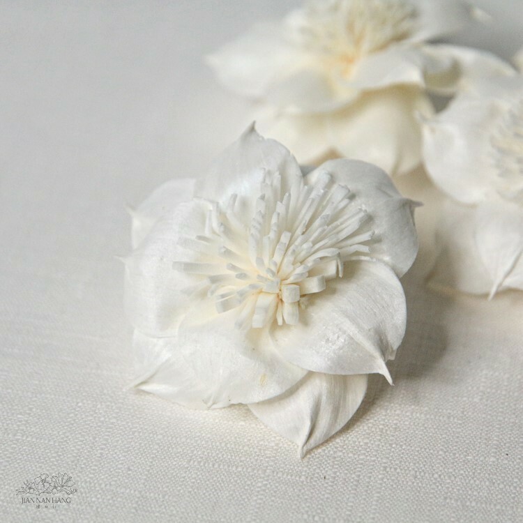 索拉花 鐵線蓮白色