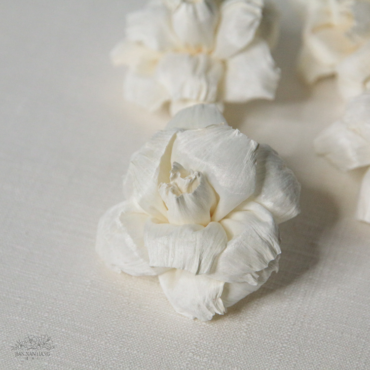 索拉花 槴子花白色