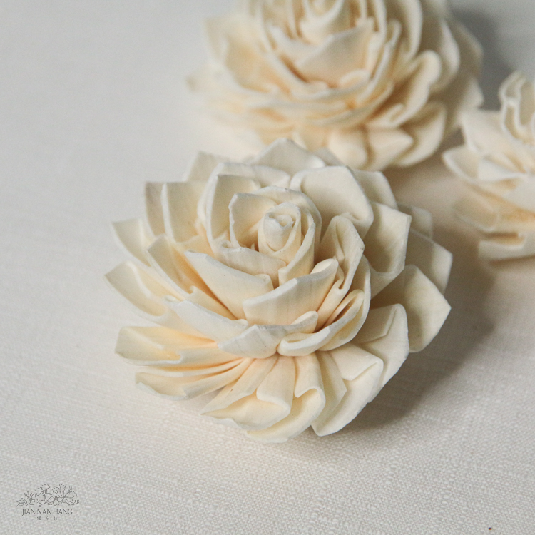 索拉花 大理菊白色