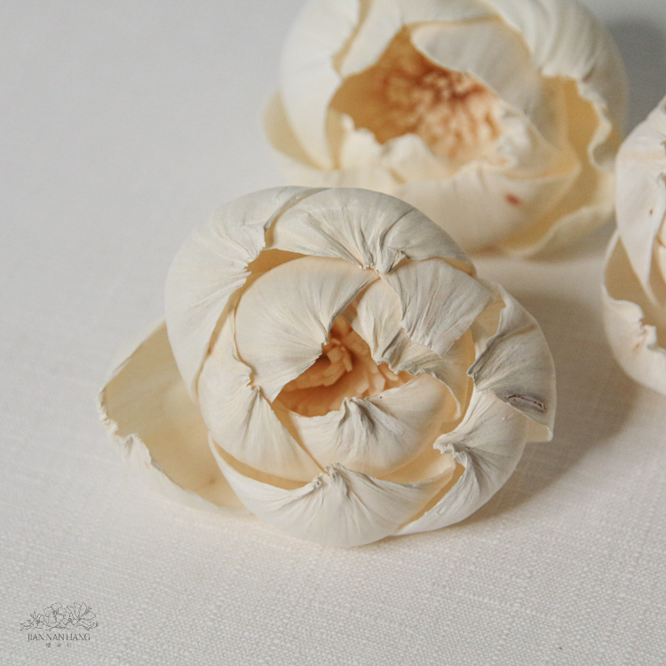 索拉花 牡丹白色