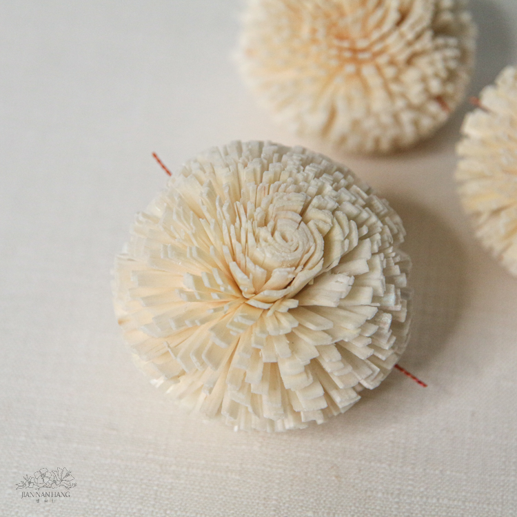 索拉花 乒乓菊白色