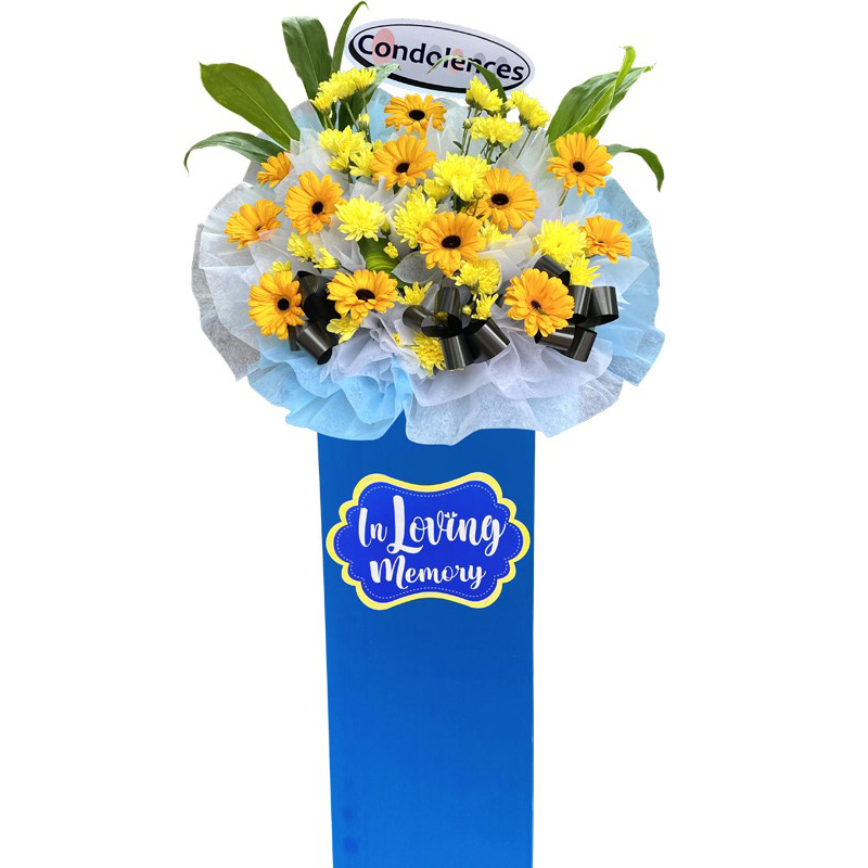 H10A⭐⭐⭐⭐⭐MEMBER DISCOUNT