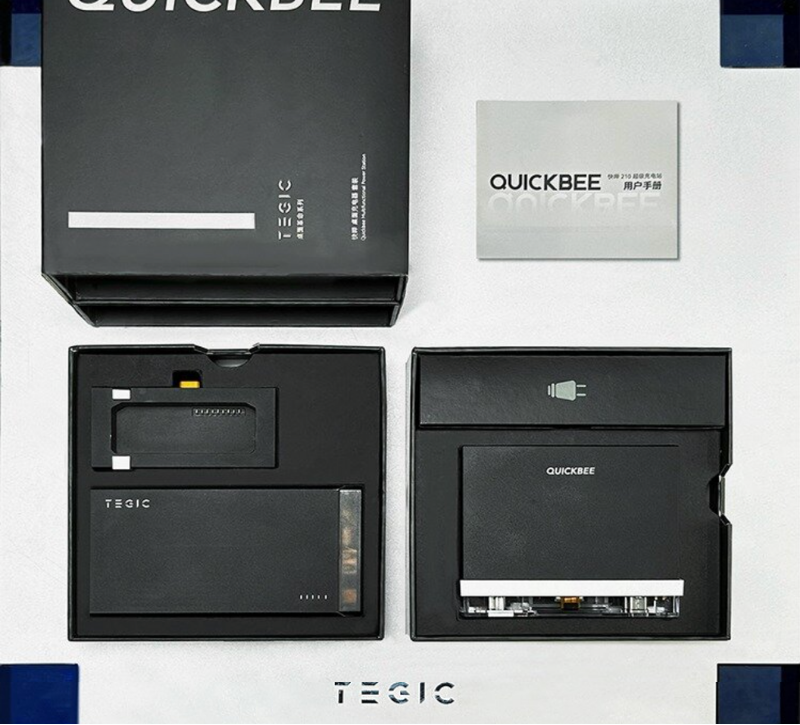TEGIC QUICKBEE 210W 2 合 1 (青色 & 黑色) 多功能充電座