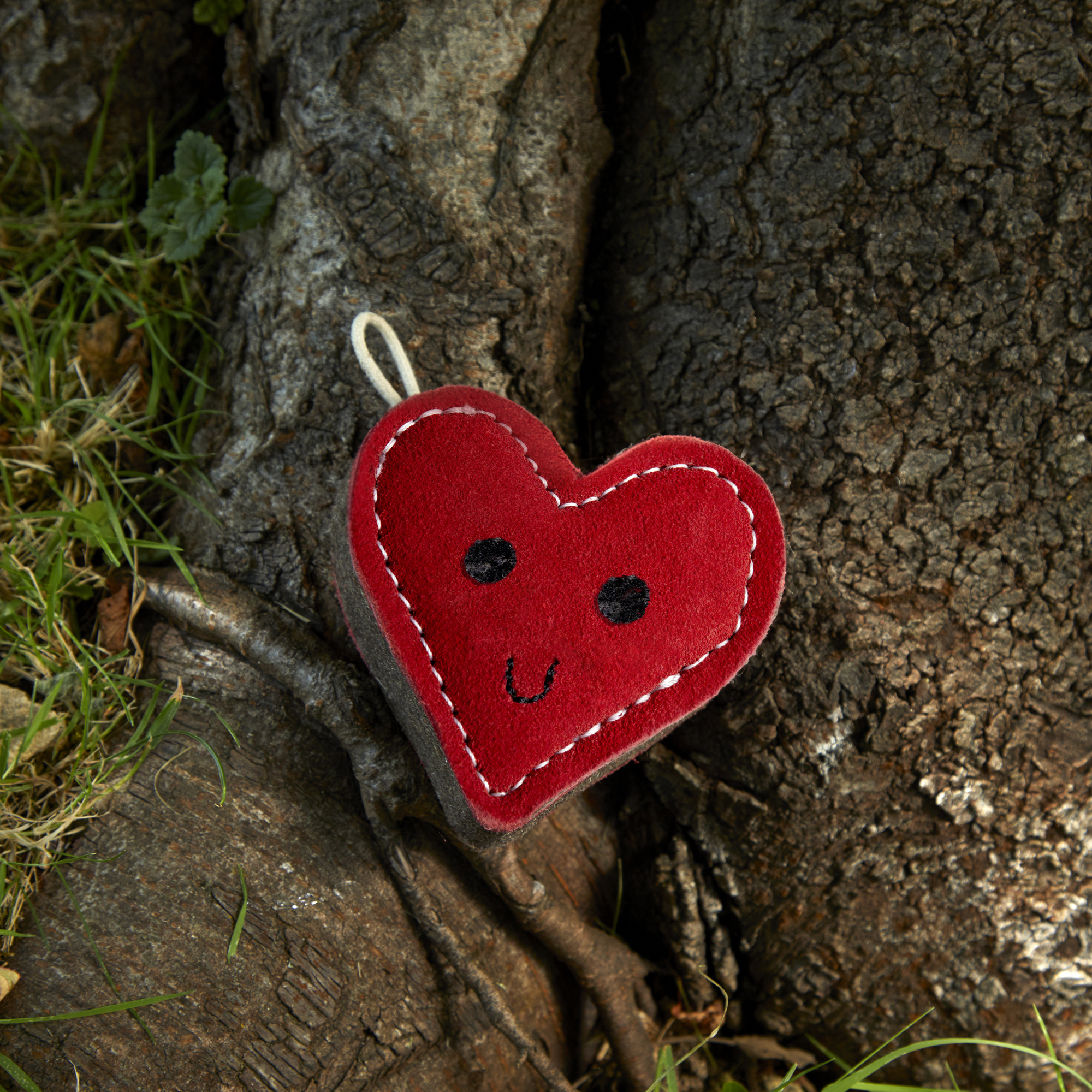 GREEN & WILDS- 天然黃麻製犬用啃咬玩具 - 愛心