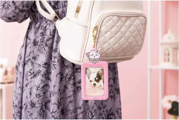 KTQ STORE ‧ 日本 Chiikawa 吉伊卡哇 魔法少女系列 卡套 卡夾