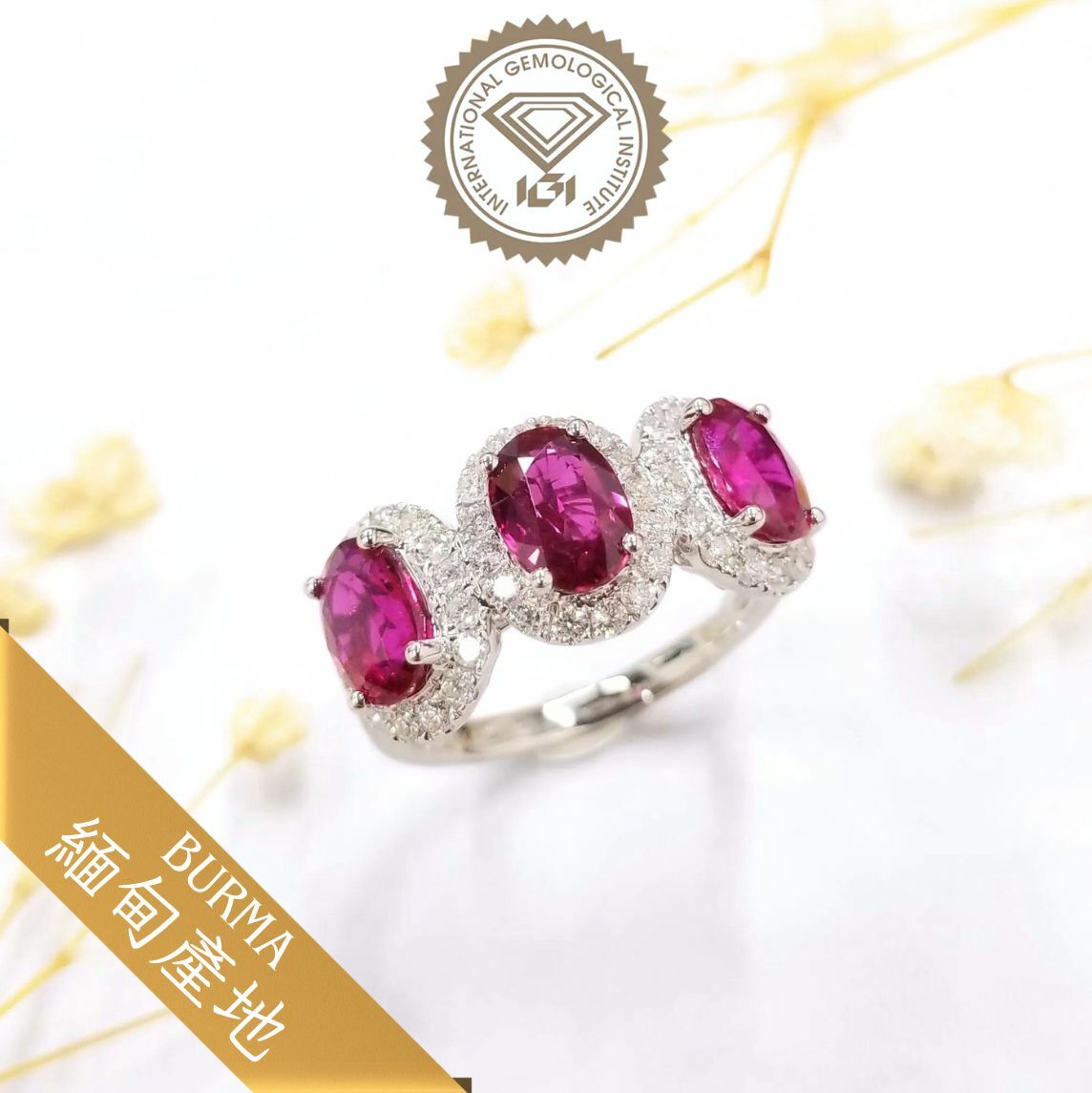 18K White Gold 3.10ct Ruby and Diamond Ring