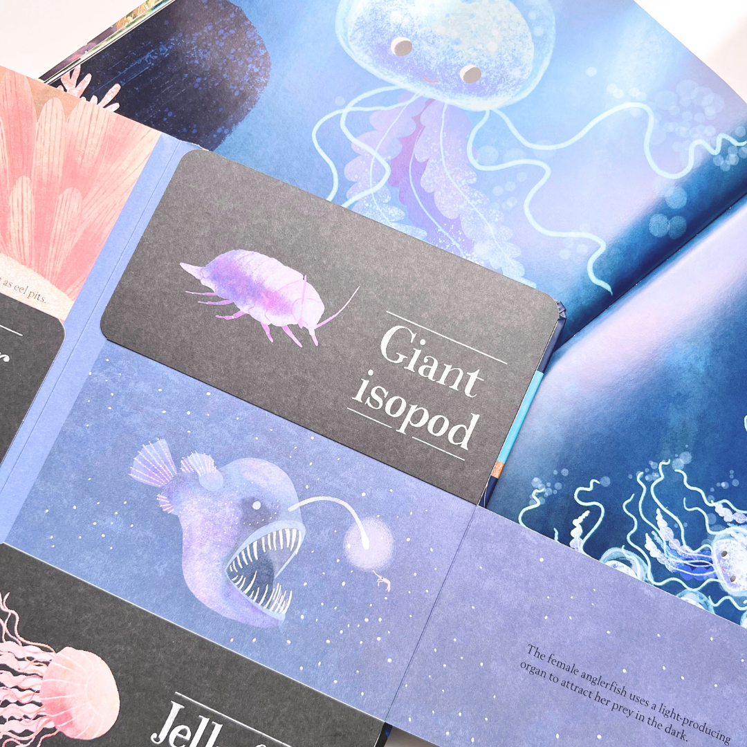 Peak-a-Sea 海洋書盒 3.0