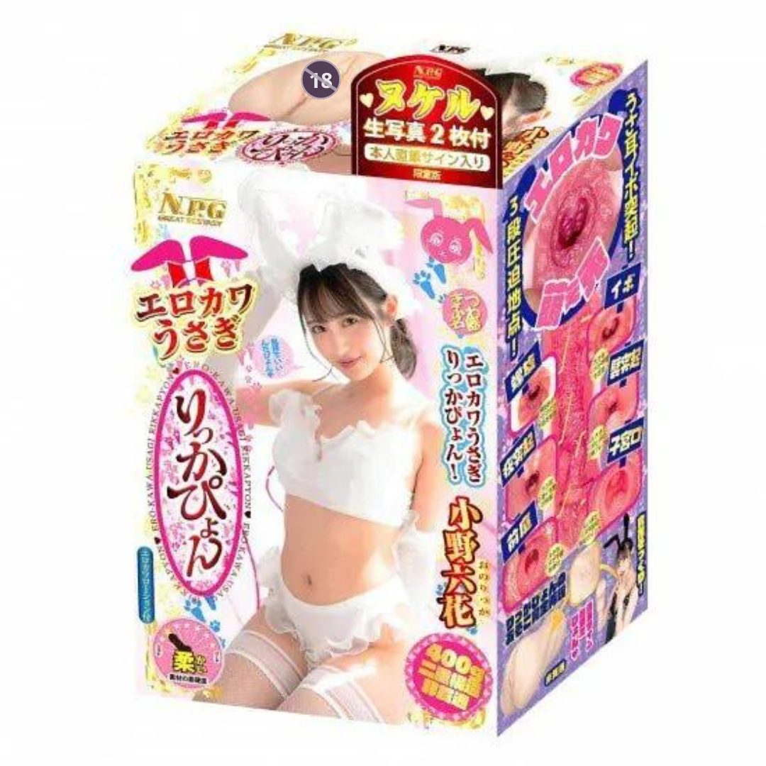 NPG - Sexy Cute Rabbit Girl Rikka Ono Meiki