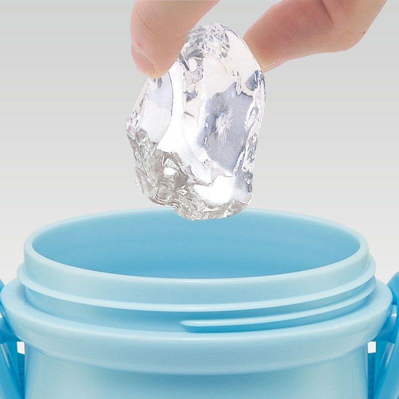 Skater - cinnamoroll玉桂狗 直飲水壺 480ml