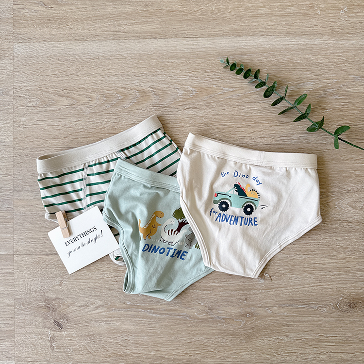 三隻恐龍條紋內褲組｜男寶
