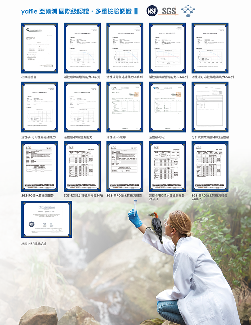 日本系列櫥下型家用二道式淨水器WF-629P