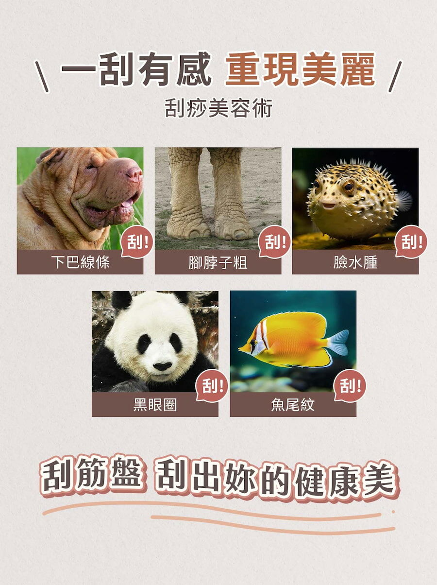 使用MGA刮筋盤讓你一刮有感，重現美麗