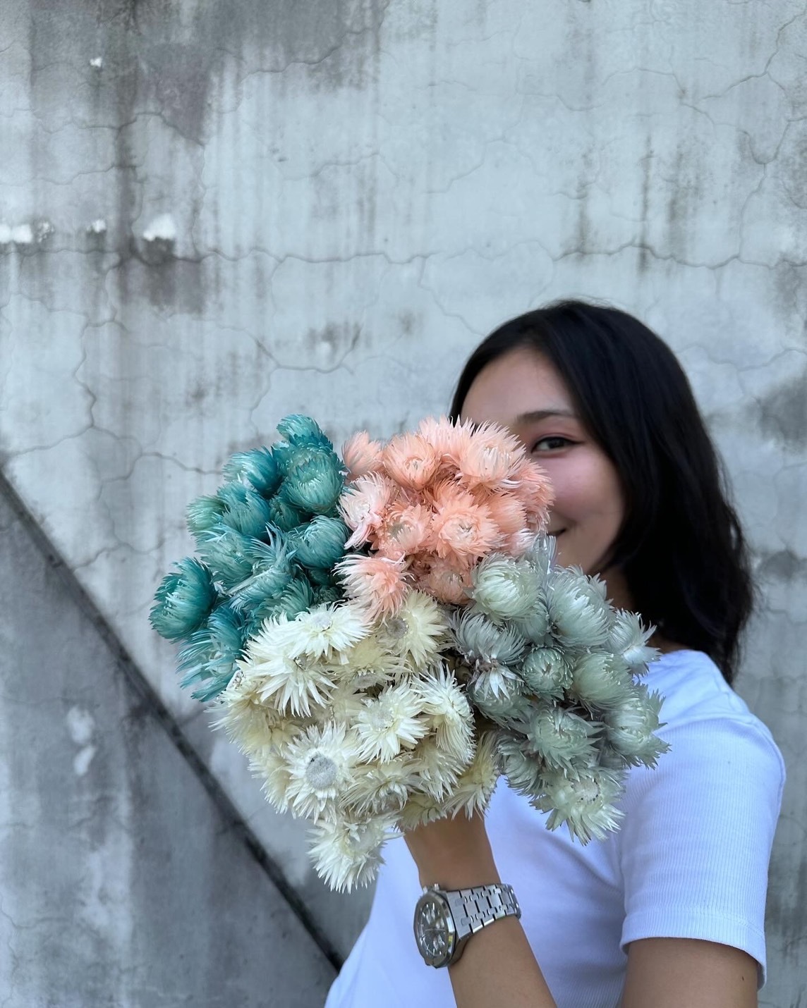 乾燥旱雪蓮 (南非)