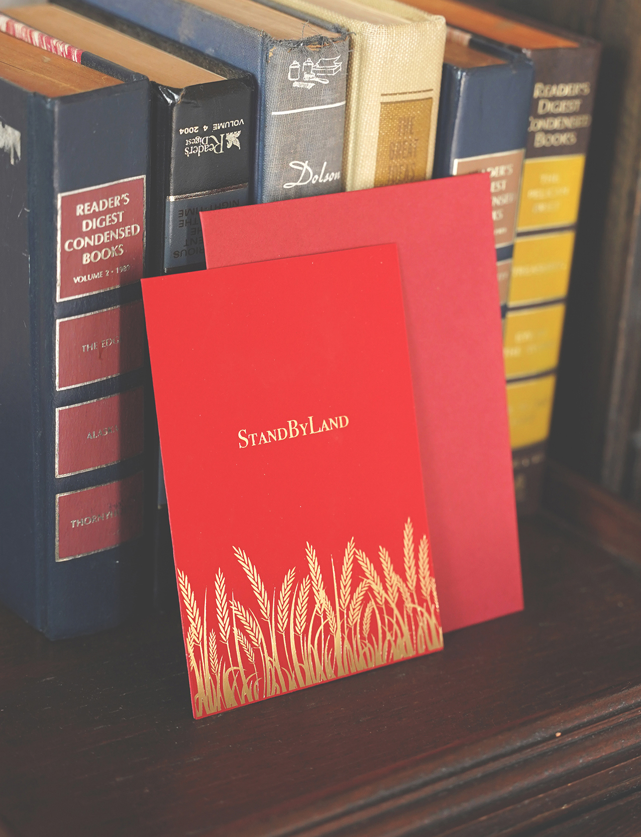 Special For You  Gift Card