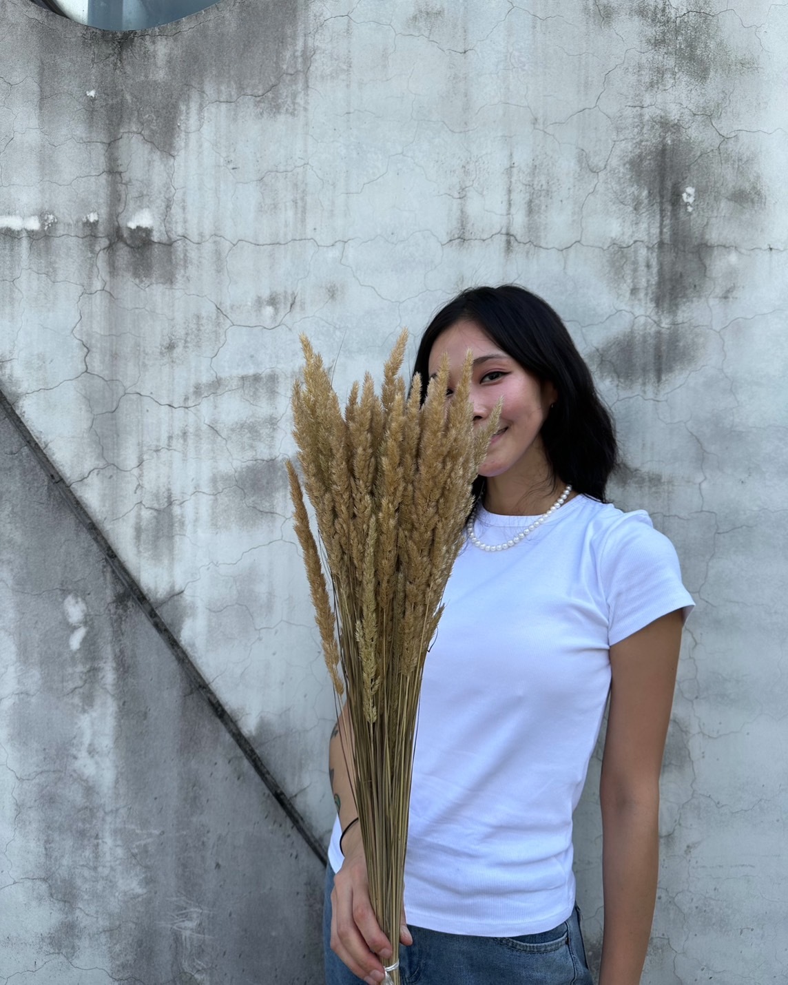 乾燥小蘆葦 (義大利)