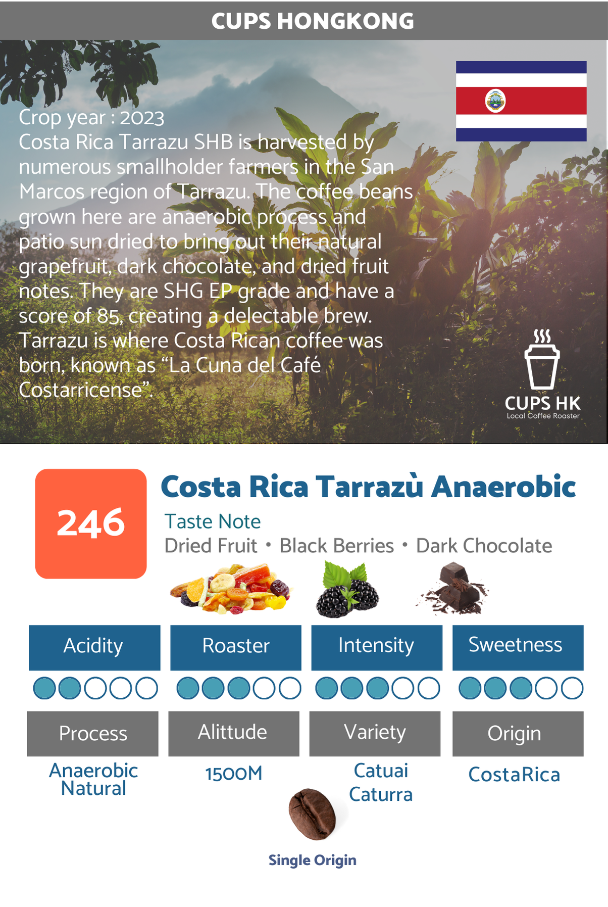 246 Costa Rica Tarrazù Anaerobic 哥斯達黎加塔拉珠厭氧