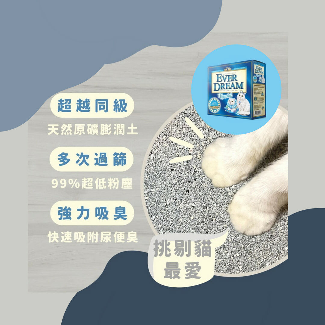 免運 EVER DREAM 美國藍貓 貓砂 9KG|礦砂