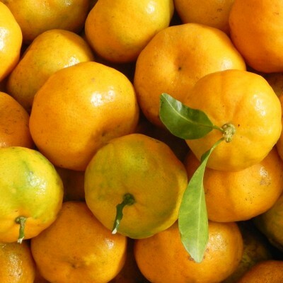 阿金姐_客家桔醬 550g