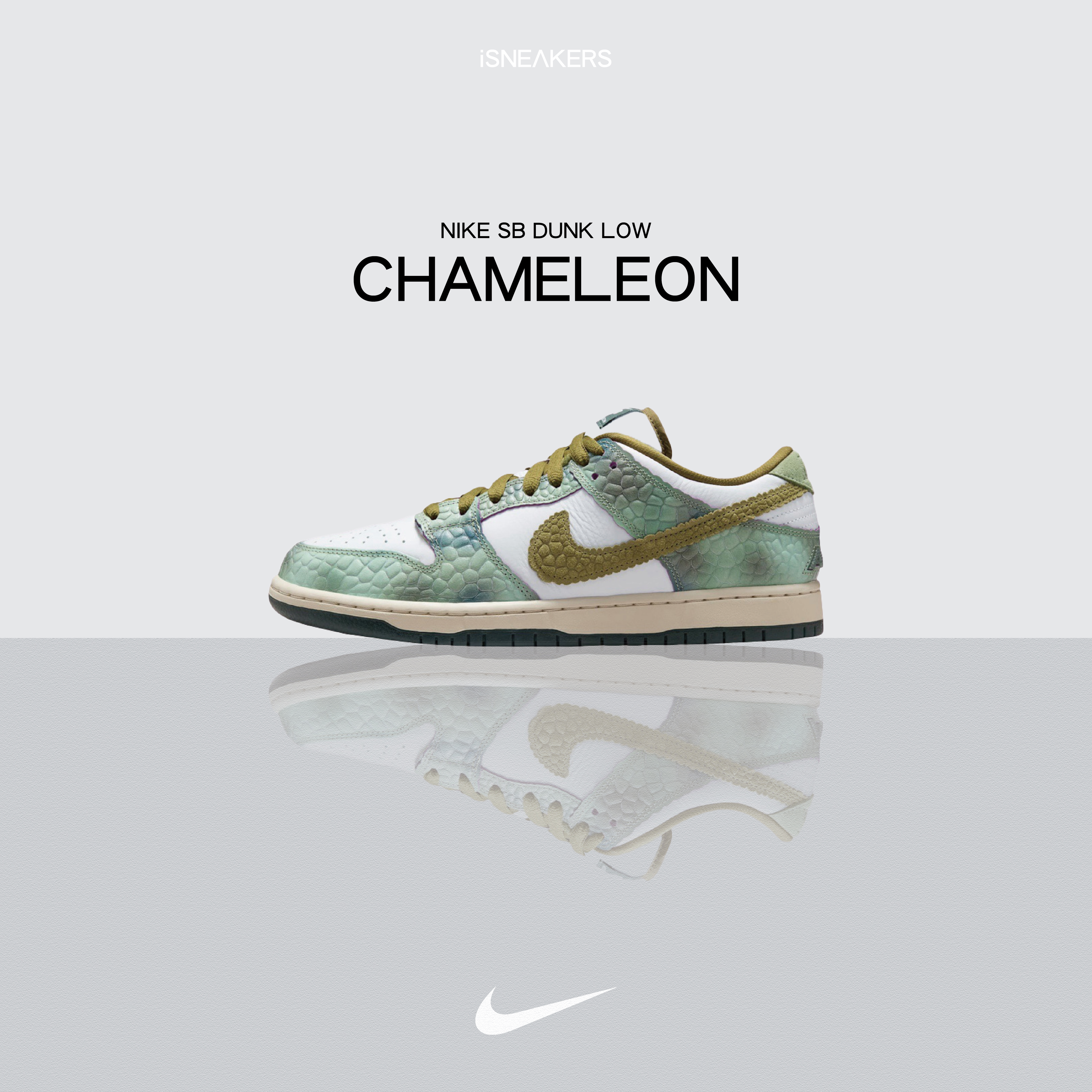 iSNEAKERS｜Nike SB Dunk Low "Chameleon" 變色龍 HJ3386-300