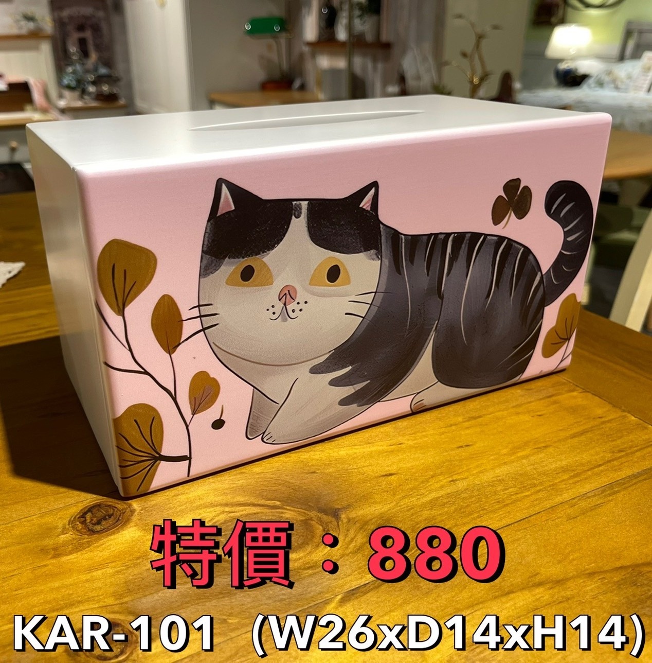 長方面紙盒-胖貓