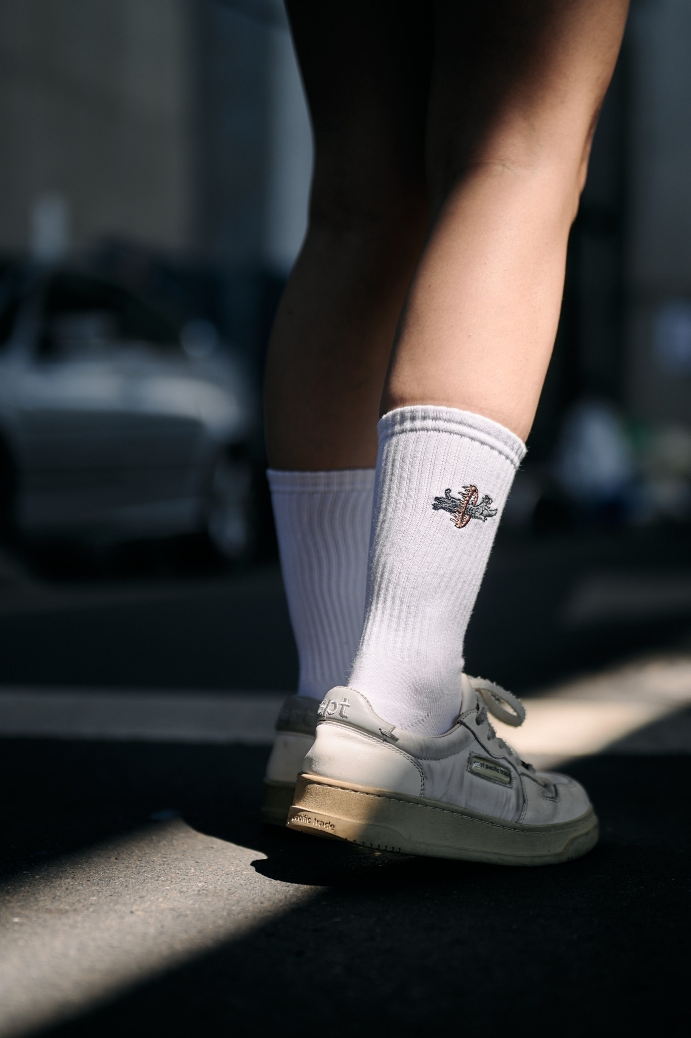 【AFTERWORK】黑豹跳火圈