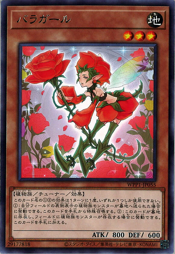 WPP1-JP055  (R)バラガール (薔薇女孩)