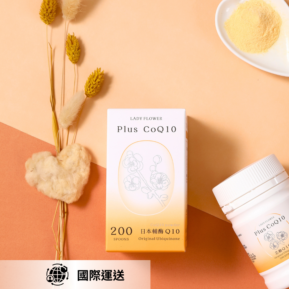 芯動 Q10｜國際運送