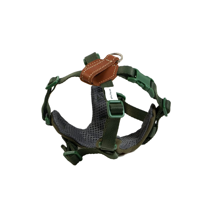 SPUTNIK 胸背帶 綠色 S+