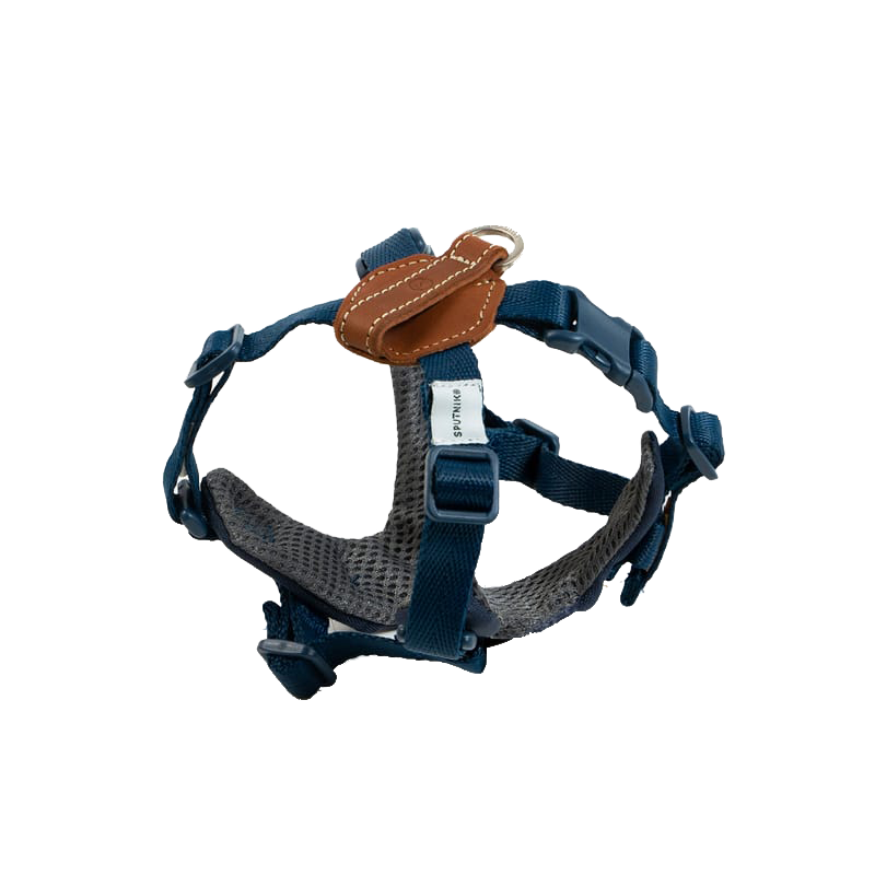 SPUTNIK 胸背帶 藍色 S+