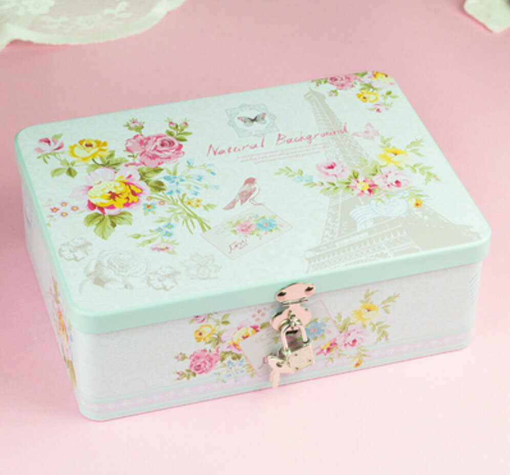 Popular lockable password storage iron box (large size DS-38) (length 24.5cm*width 18cm*height 8.5cm)