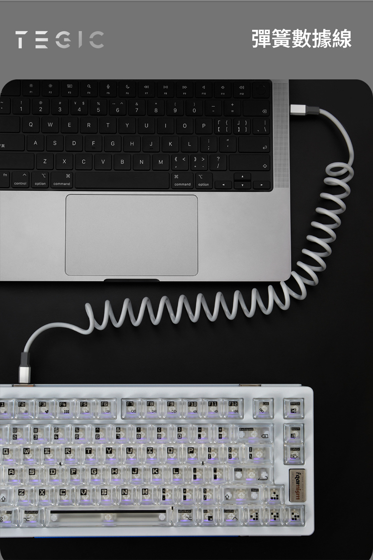 TEGIC 彈簧款傳輸充電線/數據線 (TYPE C 連接 TYPE C 連接頭)1.8m 100W